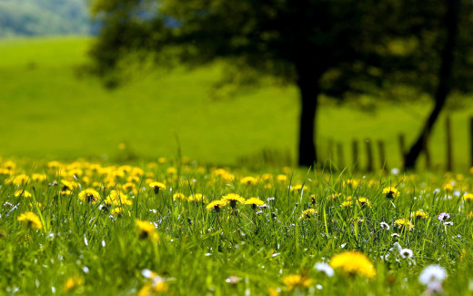 1199786 (a): :2560x1600